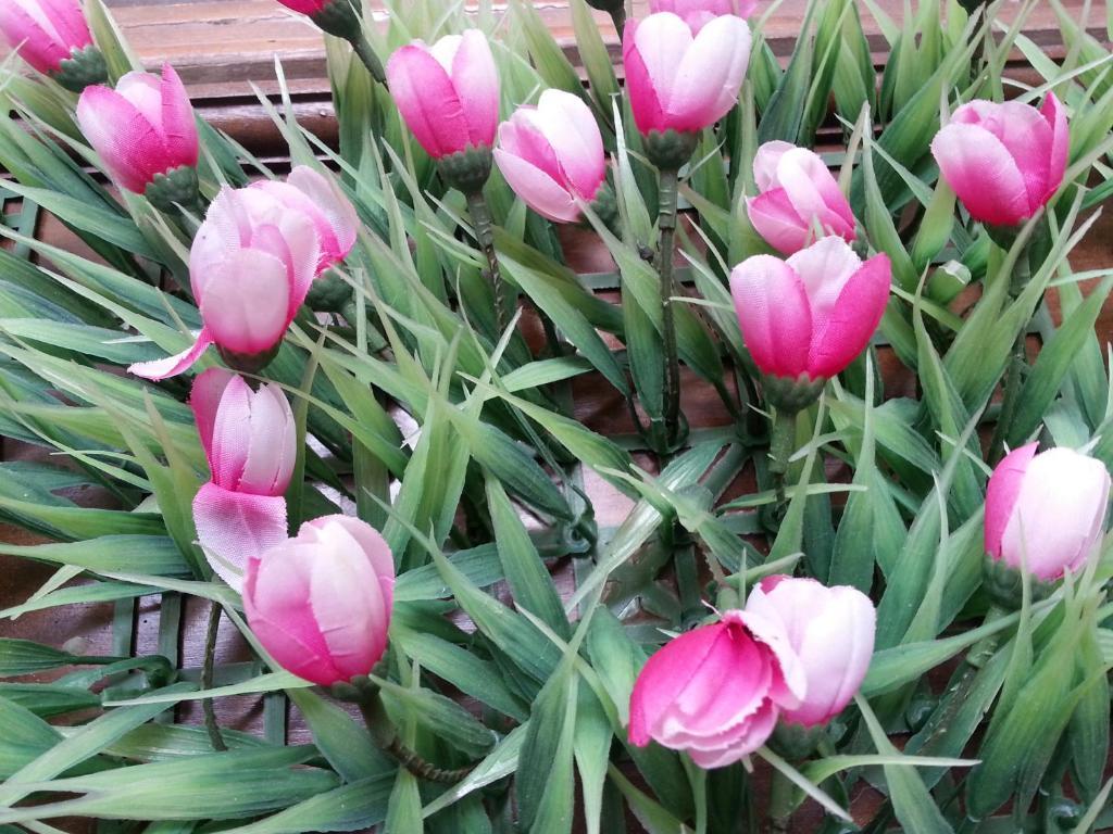 Pink Tulip Hotel Хошимин Экстерьер фото